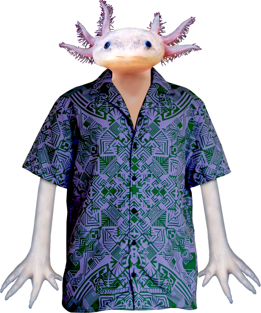 Kallisti Hawaiian shirt