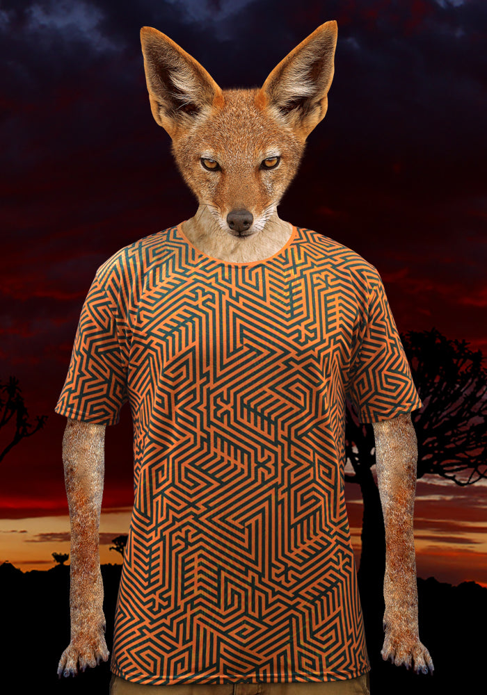 Delta Paradox AOP T-shirt