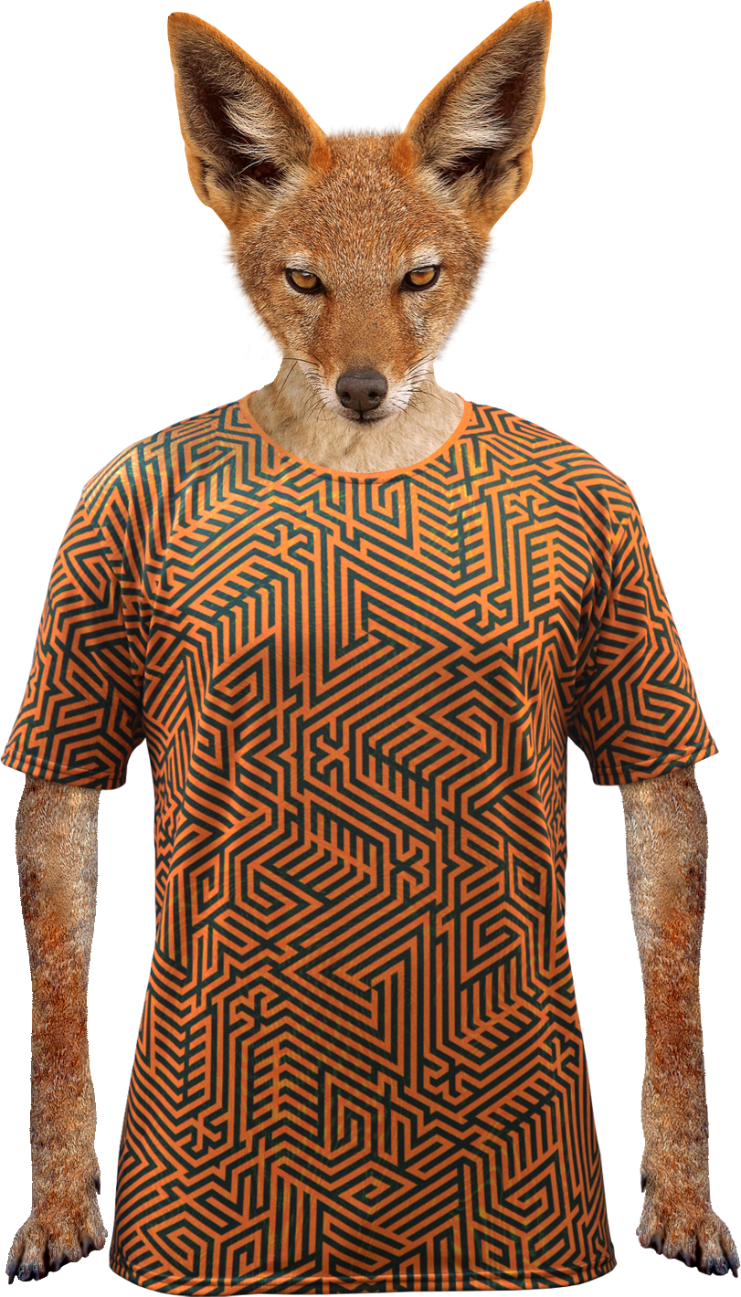 Delta Paradox AOP T-shirt