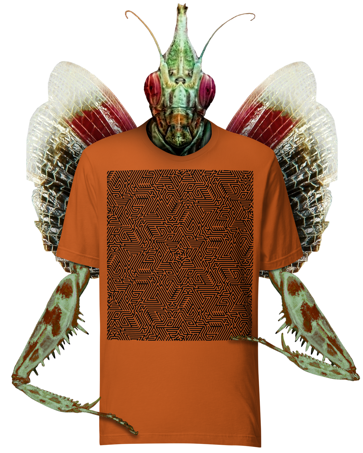 Delta Paradox T-shirt