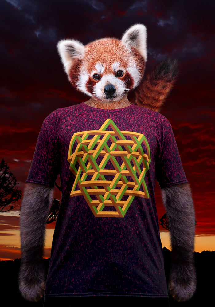 Erroneous Architect AOP T-Shirts