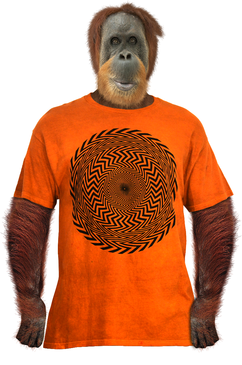 Hurricane Limited Edition T-Shirt